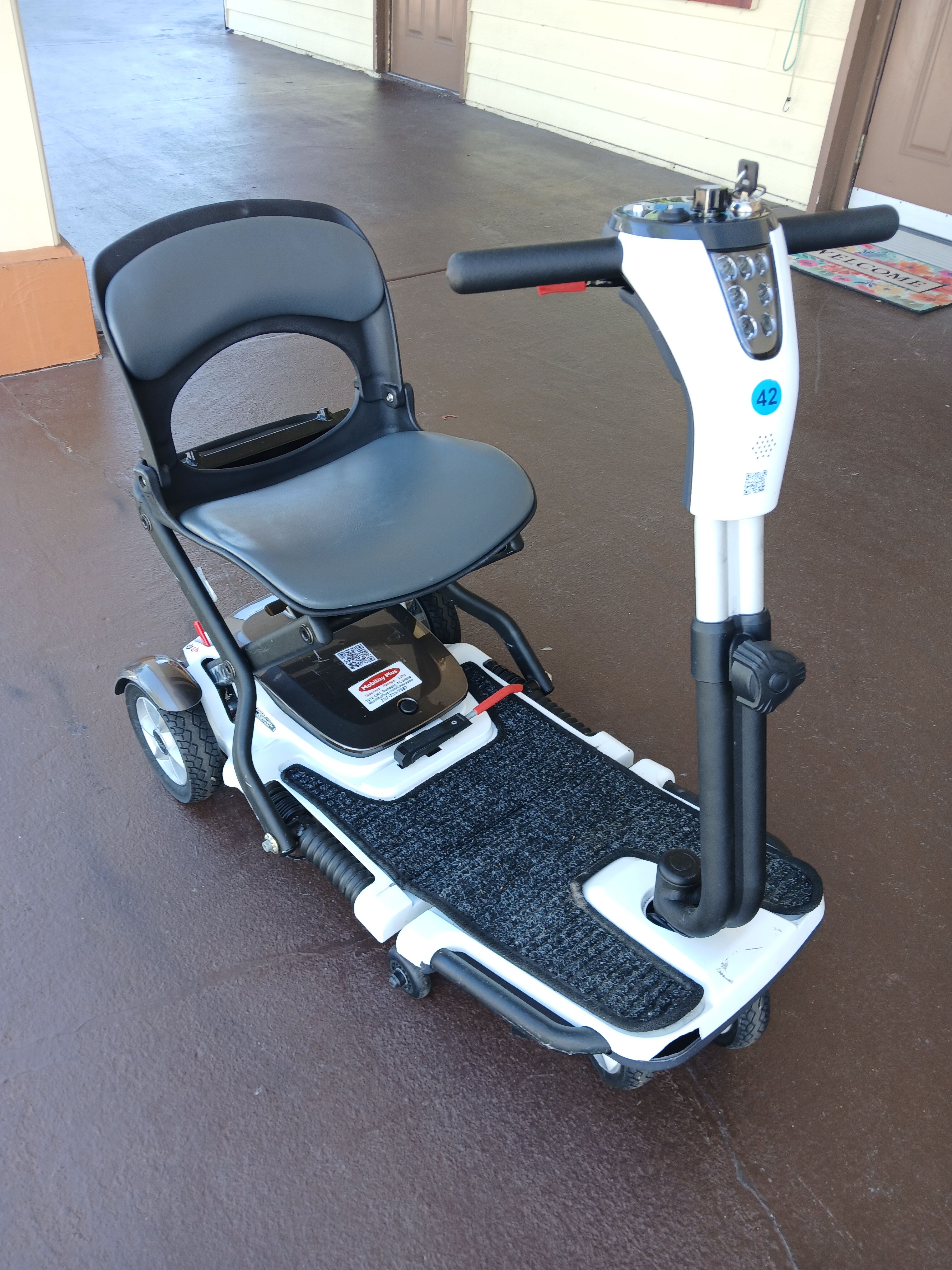 Go-Go Folding Scooter
