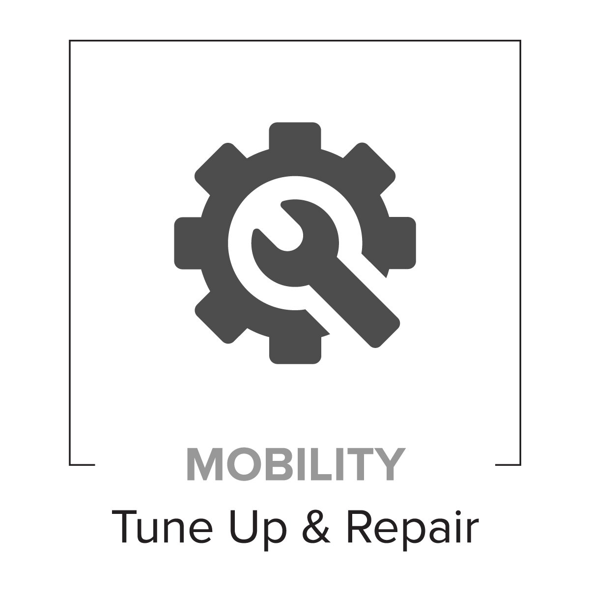 Tune-up & Repair
