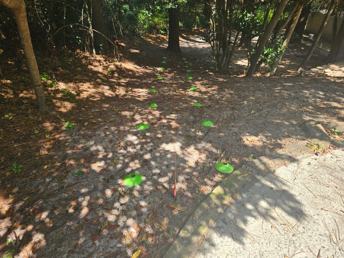 Mobility Plus Northeast Columbia picture