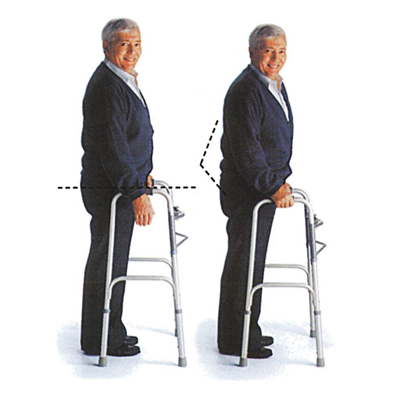 Mobility Plus Basic Two-Button Folding Walkers without Wheels
