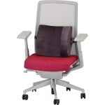 Mobility Plus Lumbar Cushion