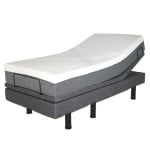 The Golden Passport Hi Low Adjustable Bed