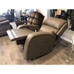Mobility Plus New Golden EZ Sleeper with Twilight Lift Chair