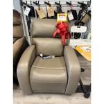 Mobility Plus New Golden EZ Sleeper with Twilight Lift Chair